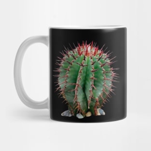 Mini Cacto Mug